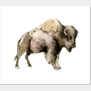 Bison Posters and Art